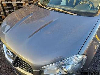 Nissan Qashqai Qashqai (J10), SUV, 2007 / 2014 1.6 16V picture 9