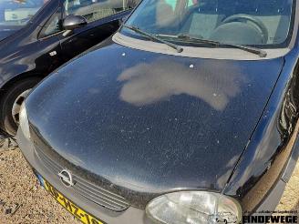 Opel Corsa Corsa B (73/78/79), Hatchback, 1993 / 2000 1.2i 16V picture 11