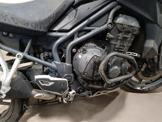 Triumph Tiger  picture 18