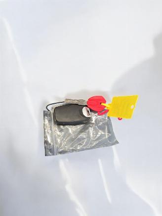 Ducati Diavel X picture 15