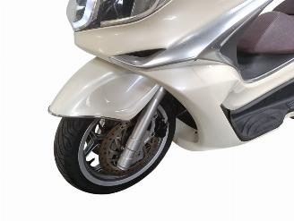 Piaggio X10  picture 25