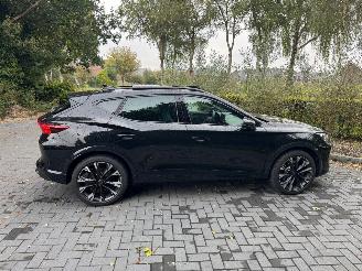 Cupra Formentor Cupra Formentor VZ 2.0 TSI 245 kW 4Drive Panorama AHK picture 14