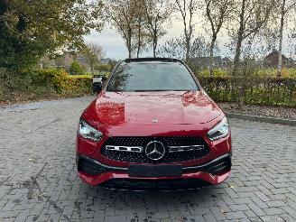 Mercedes GLA Mercedes-Benz GLA 250 e Panoramadach Camera Ambiance VOL! picture 9