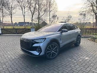 Audi Q4 Q4 e-tron Sportback 55 e-tron Quattro HUD 360view VOL picture 33