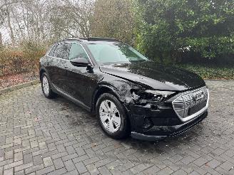 Audi E-tron Audi E-tron 55 Quattro S-Line Panorama Leder Trekhaak VOL picture 21