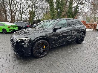Audi E-tron Audi E-tron 55 Quattro S line Leder Trekhaak Camera VOL ! picture 17