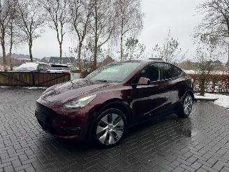 škoda osobní automobily Tesla Model Y Tesla Model Y Long Range Dual AWD Panoramadak Camera Autopilot VOL 2024/3