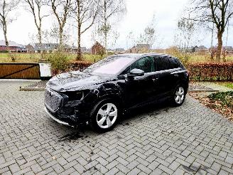 damaged passenger cars Audi Q4 Q4 e-tron 45 e-tron Quattro Heatpump Camera Leer VOL!! 2024/6