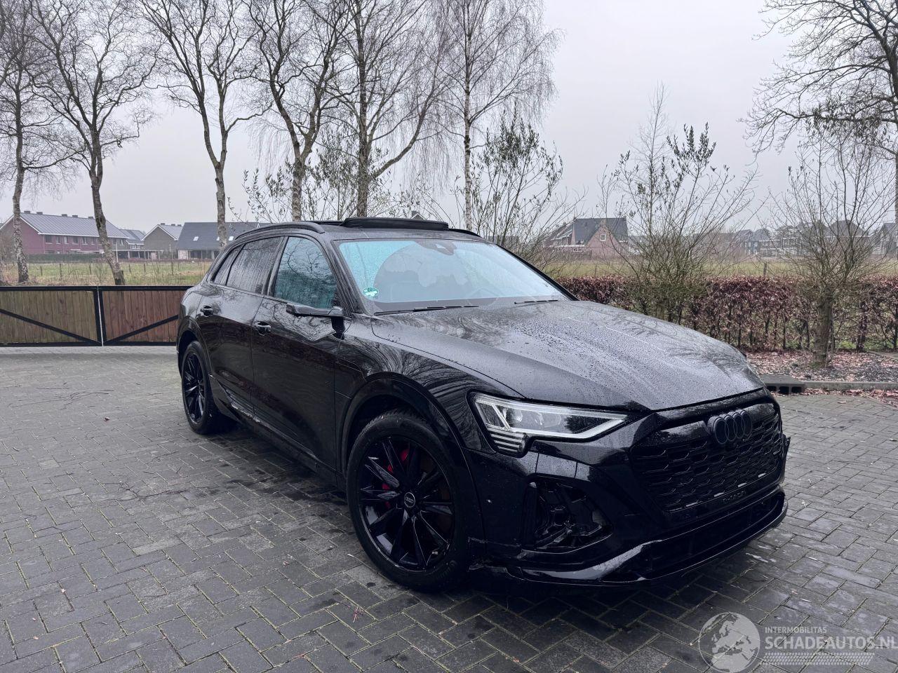 Audi E-tron Audi Q8 e-tron 55 Quattro S line PANO Camera Virtual Mirrors VOL!!