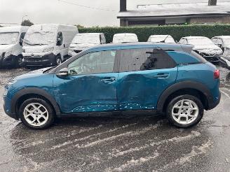 Citroën C4 cactus AUTOMAAT picture 2