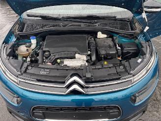 Citroën C4 cactus AUTOMAAT picture 13