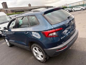 Skoda Karoq  picture 2