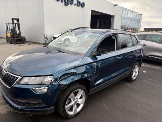 Skoda Karoq  picture 3