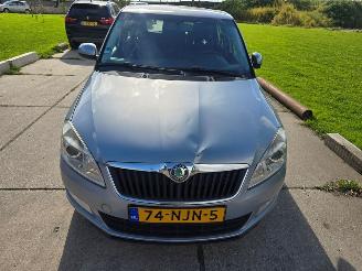 skadebil auto Skoda Fabia  2010/9
