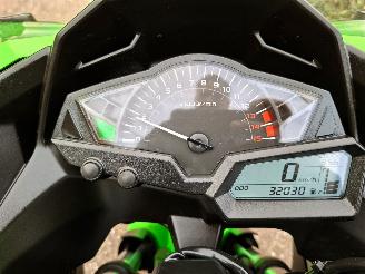 Kawasaki  Ninja 300 Anniversary Edition picture 20