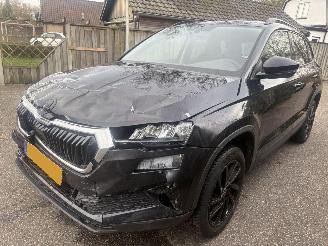 Skoda Karoq 1.0 TSI Business Edition 110PK picture 7