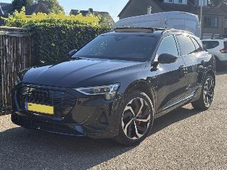 Unfallwagen Audi E-tron 50 quattro S-LINE  PANORAMA VOLL 313 PK 71 kWh 2020/12