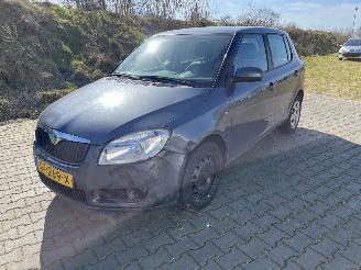 Avarii autoturisme Skoda Fabia 1.2 Classic 2008/12