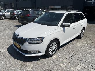  Skoda Fabia Combi 1.0 TSI Bus. Edition 2020/3