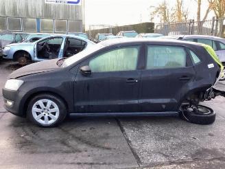 Volkswagen Polo Polo V (6R), Hatchback, 2009 / 2017 1.2 TDI 12V BlueMotion picture 10