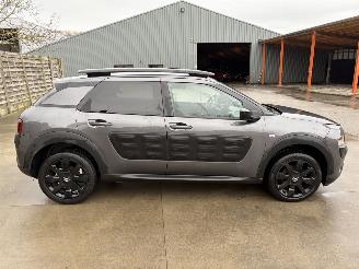 Citroën C4 cactus AUTO picture 21