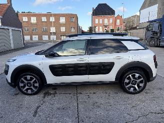 Citroën C4 cactus  picture 23