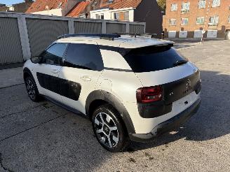 Citroën C4 cactus  picture 4