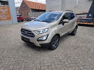 Avarii autoturisme Ford EcoSport 1000 TURBO 125 PK  69650 KM  FRISSE AUTO 2019/9