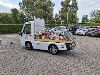  Alle  cenntro centro  electrice 2020/6