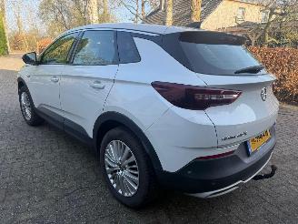 škoda osobní automobily Opel Grandland X 1.2 TURBO 120 JAAR 2019/4