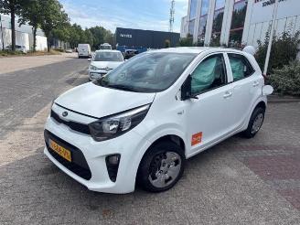 Kia Picanto Picanto (JA), Hatchback, 2017 1.0 12V picture 3