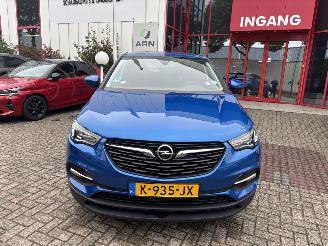 Auto incidentate Opel Grandland X 1.2 Turbo Business Edition 2021/1