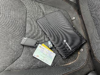 Skoda Kodiaq 2.0 TDI picture 15