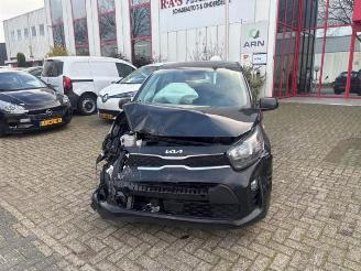  Kia Picanto Picanto (JA), Hatchback, 2017 1.0 DPI 12V 2024/8