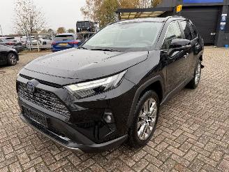 Toyota Rav-4 2.5 Hybrid AWD automaat picture 5