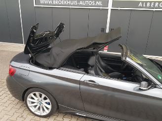 BMW 2-serie Cabrio M235i High Executive picture 30
