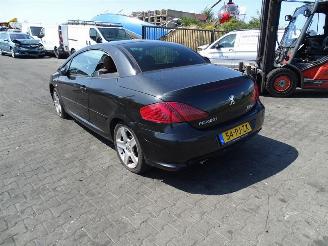 Peugeot 307 CC 2.0 16v picture 2