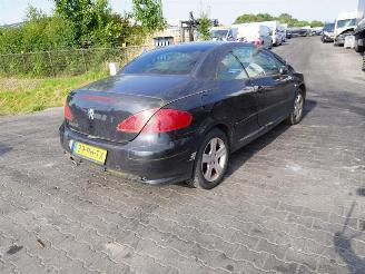 Peugeot 307 CC 1.6 picture 1