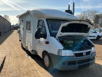 krockskadad bil bedrijf Fiat Ducato Ducato (243/244/245), Ch.Cab/Pick-up, 2001 / 2006 2.8 JTD VGT 2005/5
