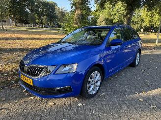 krockskadad bil auto Skoda Octavia  2019/1