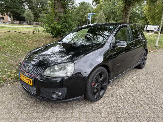 Volkswagen Golf GTI 2008/1