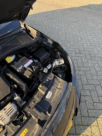 Citroën C4 cactus  picture 13