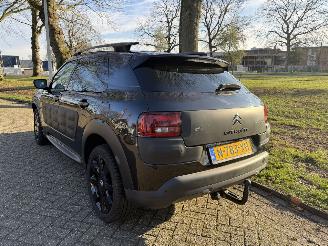 Citroën C4 cactus  picture 3