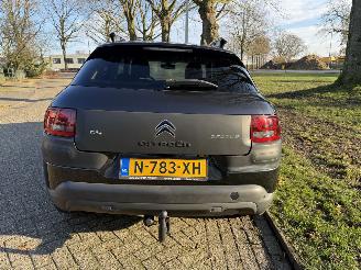 Citroën C4 cactus  picture 4