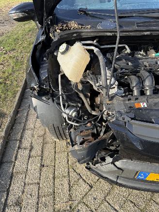 Ford Fiesta  picture 15