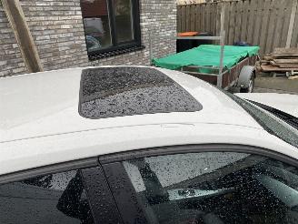 BMW 1-serie 116i EDE Upgrade Edition Leer Glazen schuifdak picture 31