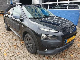Citroën C4 cactus 1.6 BlueHDi Business picture 7