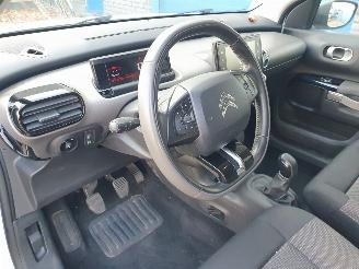 Citroën C4 cactus 1.6 BlueHDi Shine SCHADEVRIJ picture 15