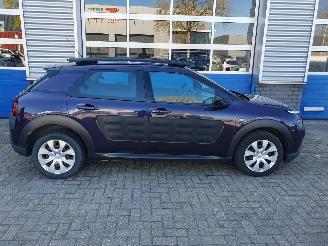 Citroën C4 cactus 1.2 PureTech Business picture 6