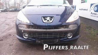 Peugeot 207 207/207+ (WA/WC/WM), Hatchback, 2006 / 2015 1.4 16V picture 17